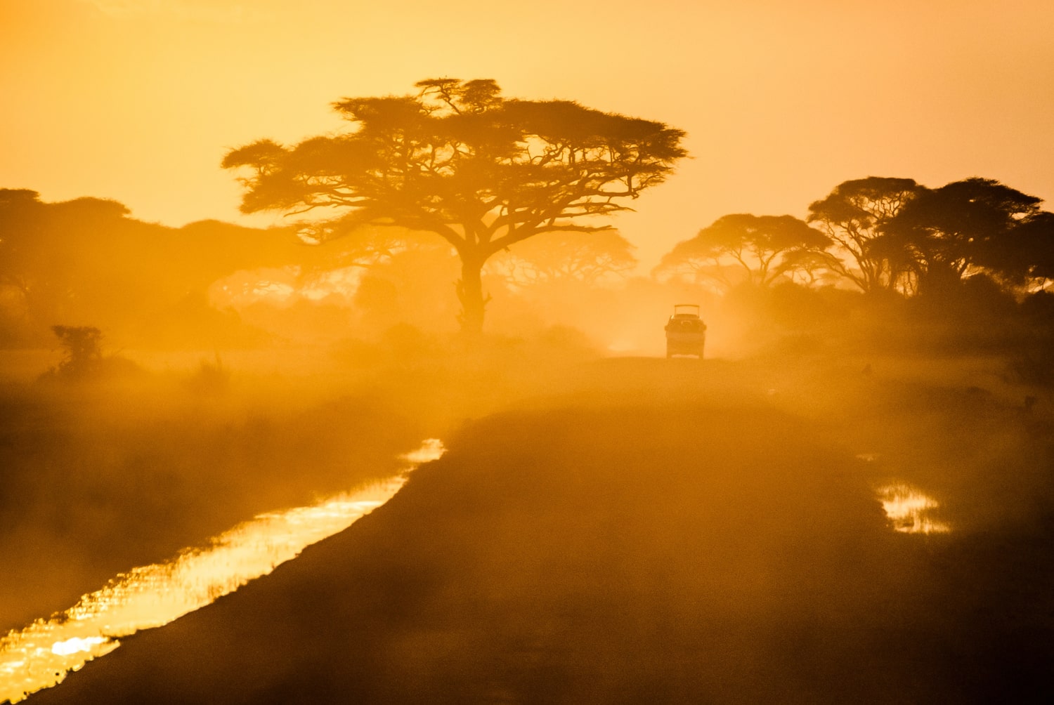 Panorama de l'Afrique avec une voiture qui arrive au loin dans une brume orangée.